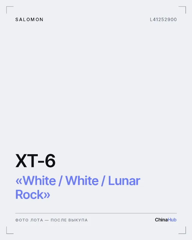 Иллюстрация: Salomon XT-6 «White / White / Lunar Rock» — фото лота появится после выкупа